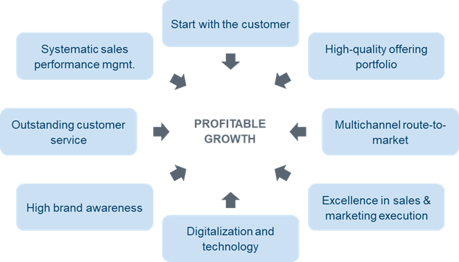 Figure 1: Example of a commercial excellence vision